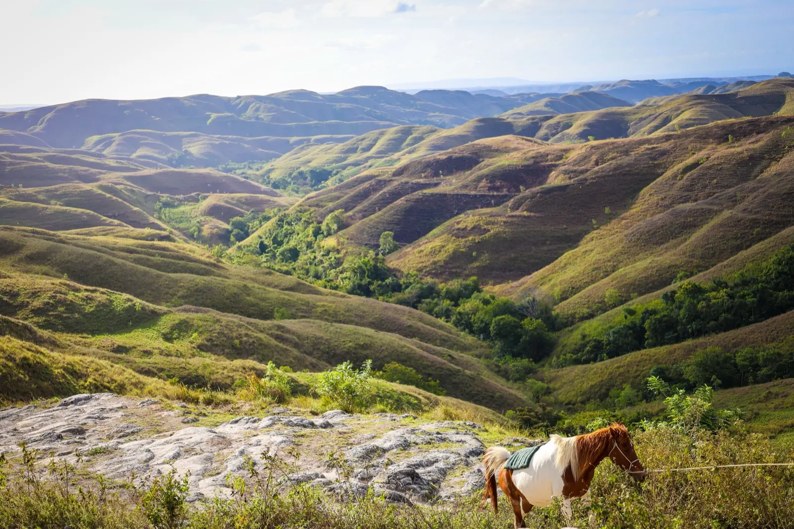 Beyond Komodo — Sumba and Waerebo.